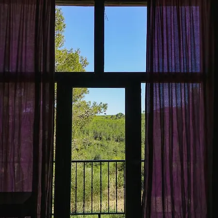 Masia Pou De La Vinya Apartament *