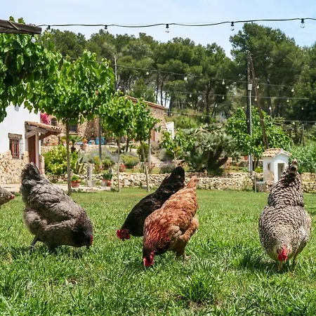 Masia Pou De La Vinya Appartamento Sitges